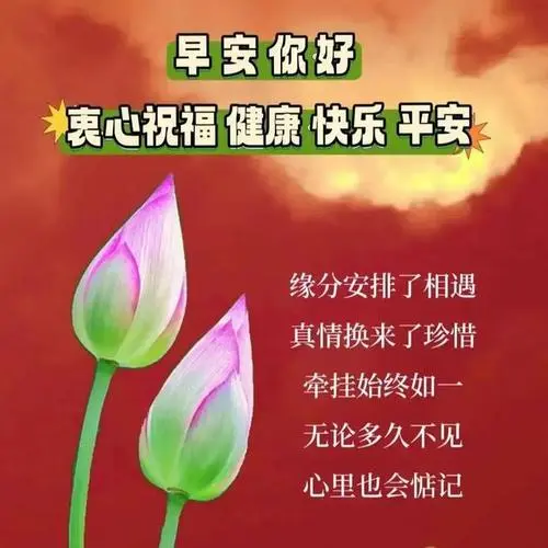 7月5日周三早上好,早安祝福图片早上好问候语,新的一天吉祥如意!