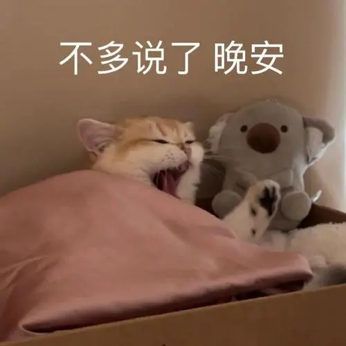 很爱猫猫表情包~