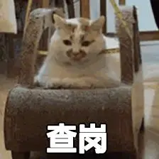 查岗表情包-日常表情包