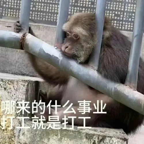 一组更适合打工人的表情包