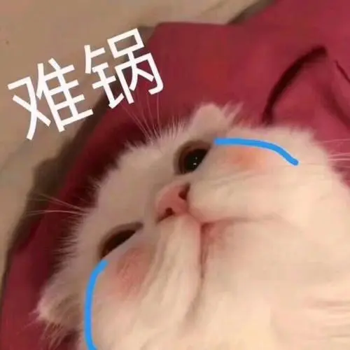 小可爱表情包