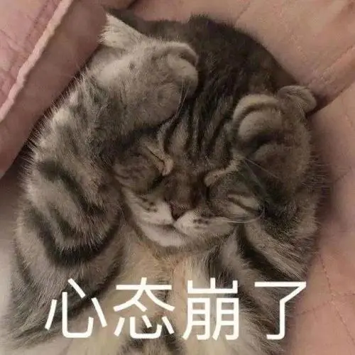 可爱猫猫表情包
