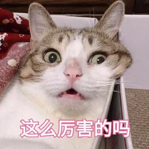 萌宠猫星人这么厉害的吗震惊呆萌可爱gif动图_动态图_表情包下载_soo