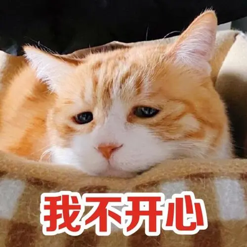 萌宠喵星人我不开心难过呆萌可爱gif动图_动态图_表情包下载_soogif