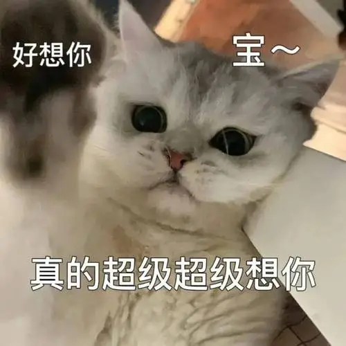 但谢谢你给我的甜9697生活偶尔会有不如意撒娇情侣表情包cr.