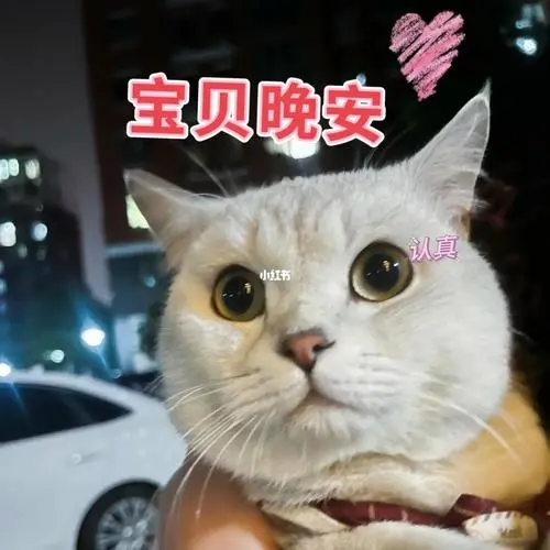 最后一张吓到模糊快拿去哄你的小朋友