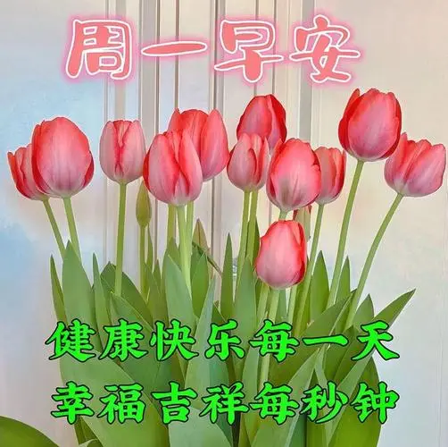 1月29日早安漂亮图片问候祝福语|快乐|清晨|幸福|早上好_网易订阅
