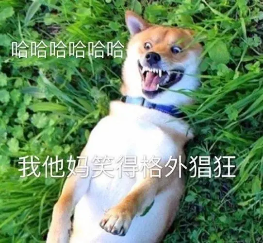 狗子表情包搜索-斗图表情包搜索-biaoqing233.com